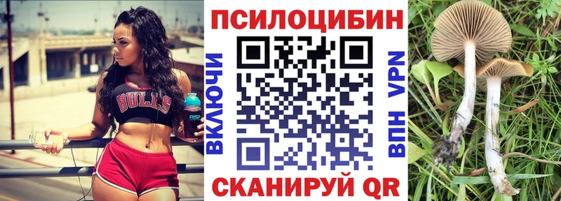 Псилоцибиновые грибы Cubensis  хочу   Елабуга 