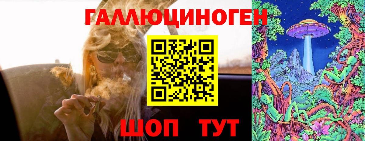 Псилоцибиновые грибы Psilocybine cubensis Елабуга