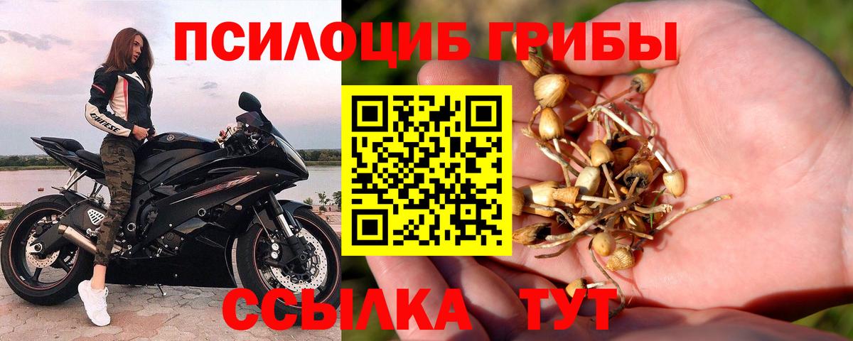 Псилоцибиновые грибы Magic Shrooms  Вход с VPN  Псилоцибиновые грибы Cubensis  Елабуга 