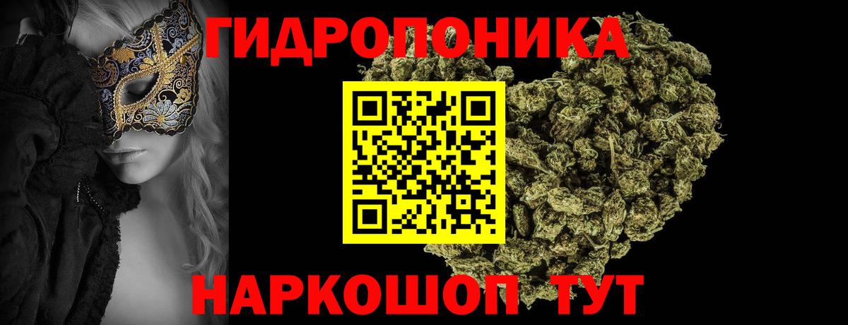 Бошки марихуана OG Kush Елабуга